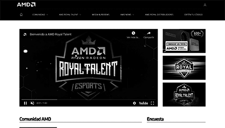 AMD - Royal Talent